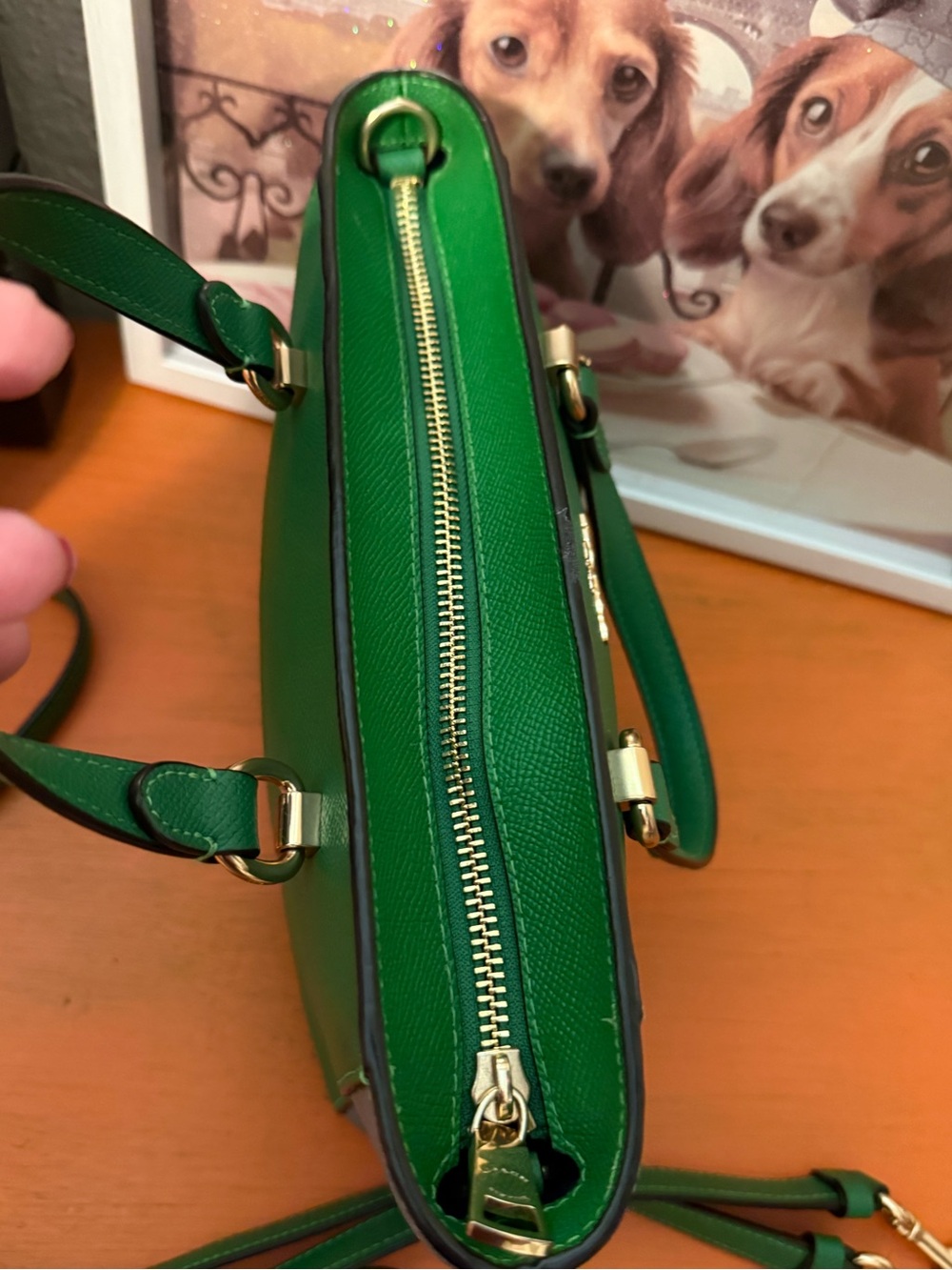 COACH Alice Green and Gray Colorblock Mini Satchel - Picture 7 of 12